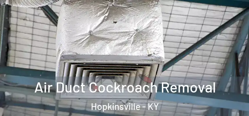 Air Duct Cockroach Removal Hopkinsville - KY