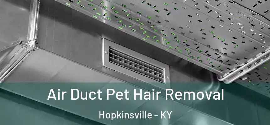  Air Duct Pet Hair Removal Hopkinsville - KY