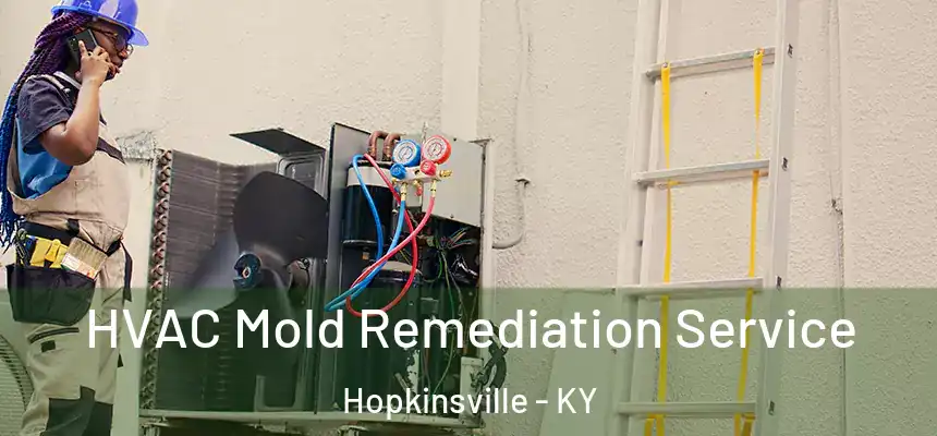 HVAC Mold Remediation Service Hopkinsville - KY