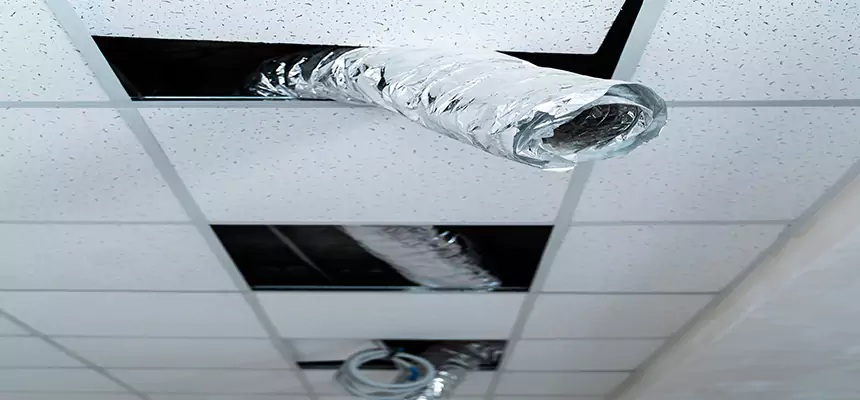 Our Air Duct Pet Hair Removal Services in Hopkinsville, KY