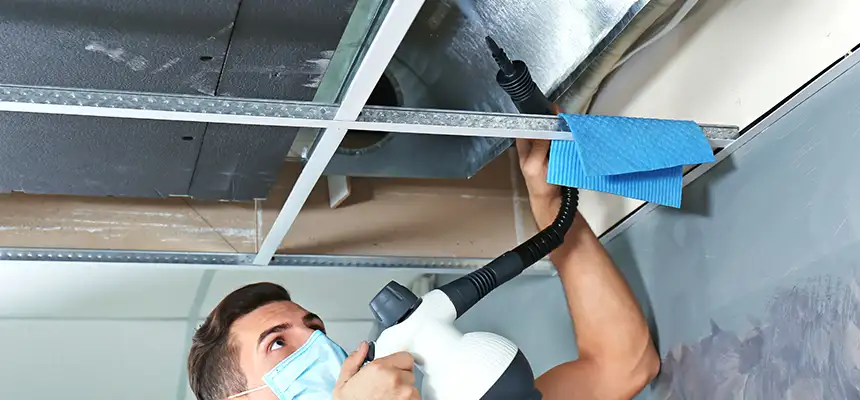 Our Air Duct Rodent Removal Services in Hopkinsville, KY
