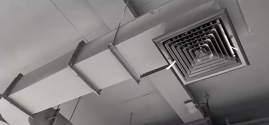 Restorative Allergy Relief Vent Cleaning – Coil, Blower & Housing Detail in Hopkinsville