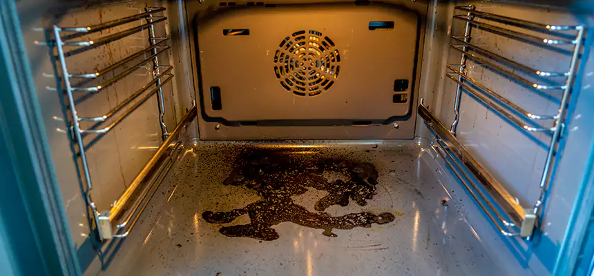 Our Dryer Vent Mold Cleaning Services in Hopkinsville, KY