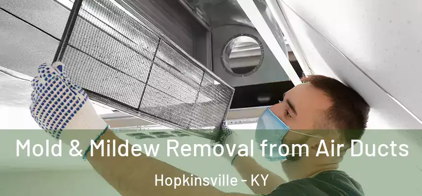 Mold & Mildew Removal from Air Ducts Hopkinsville - KY