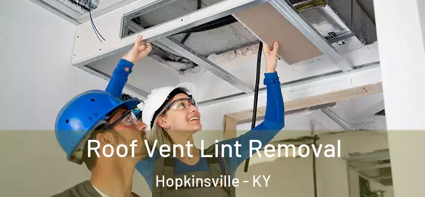 Roof Vent Lint Removal Hopkinsville - KY