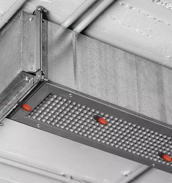 About Air Duct Cockroach Removal in Hopkinsville, KY