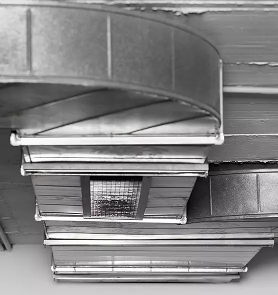 Professional Air Duct Pet Hair Removal in Hopkinsville, KY