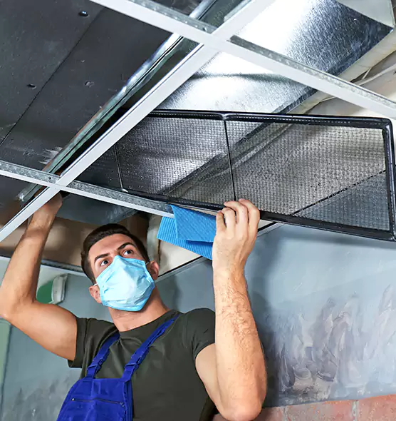 Professional Air Duct Pollen Cleaning in Hopkinsville, KY