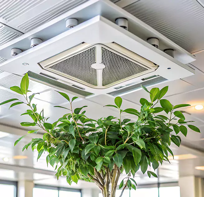 Why Homeowners & Businesses Trust Us in Hopkinsville, KY?