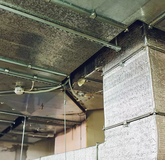 Why Homeowners & Businesses Trust Us in Hopkinsville, KY?